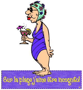 plage inconito.gif